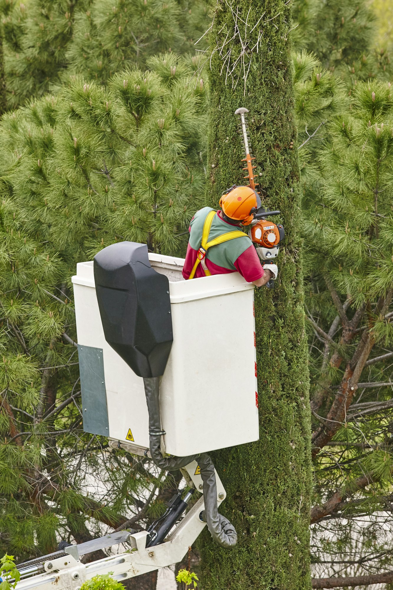 Equiped worker pruning a tree on a crane. Gardening works