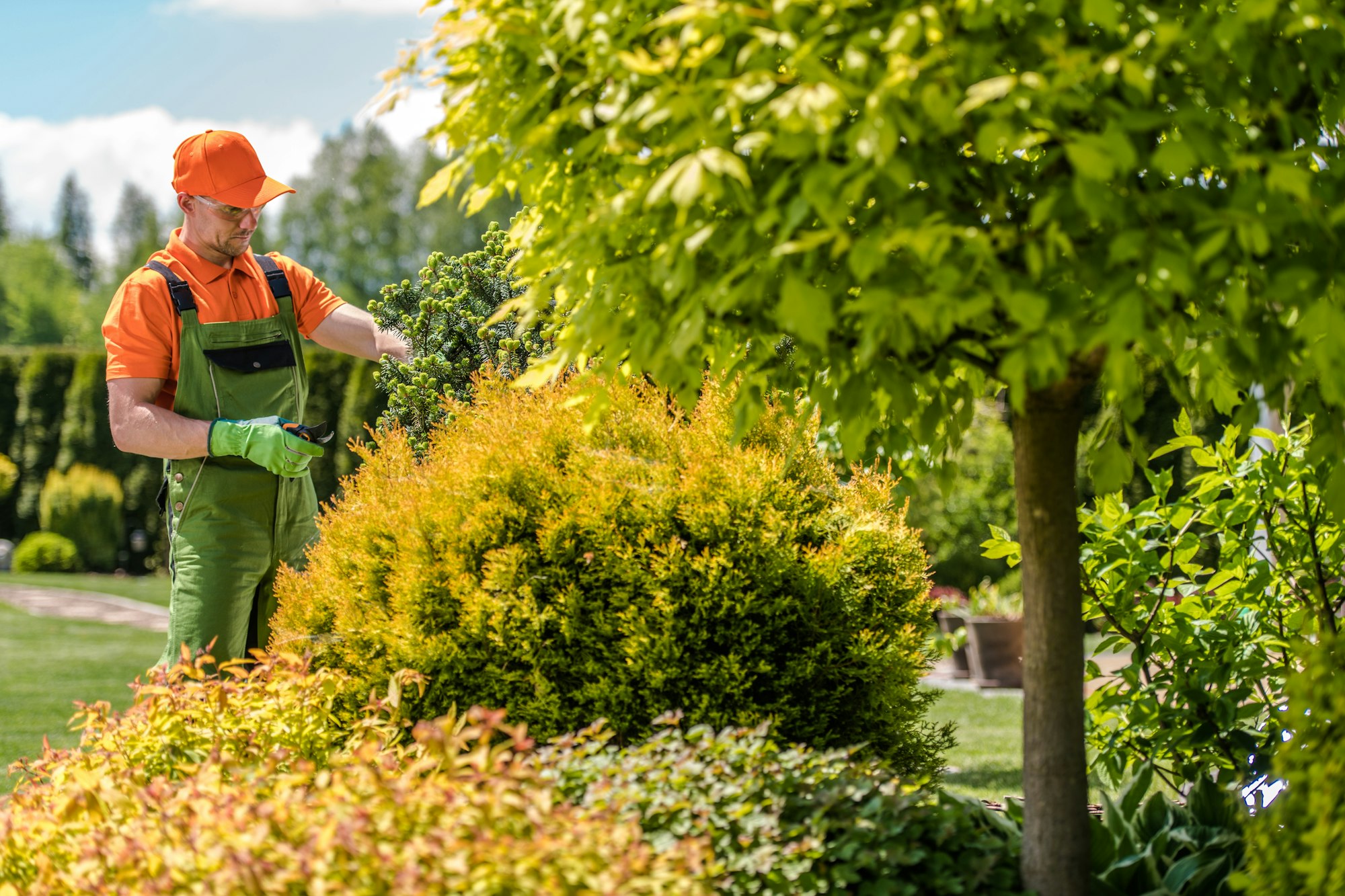 Trimming Garden Plants